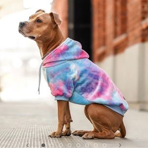 Sparkpaws snow cone dog hoodie